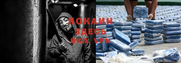 винт Алексеевка