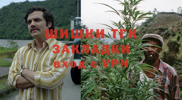 apvp Алзамай